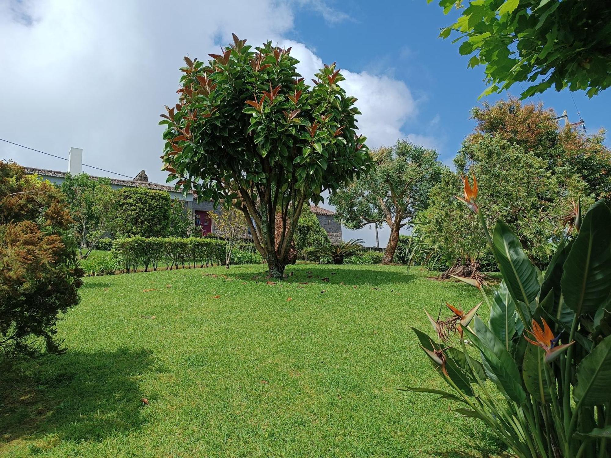 Tradicampo Eco Country Houses นอร์เดสติ ภายนอก รูปภาพ